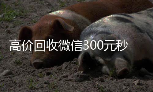 高价回收微信30024小时靠谱收微信平台元秒结（高价回收vx300元秒结）